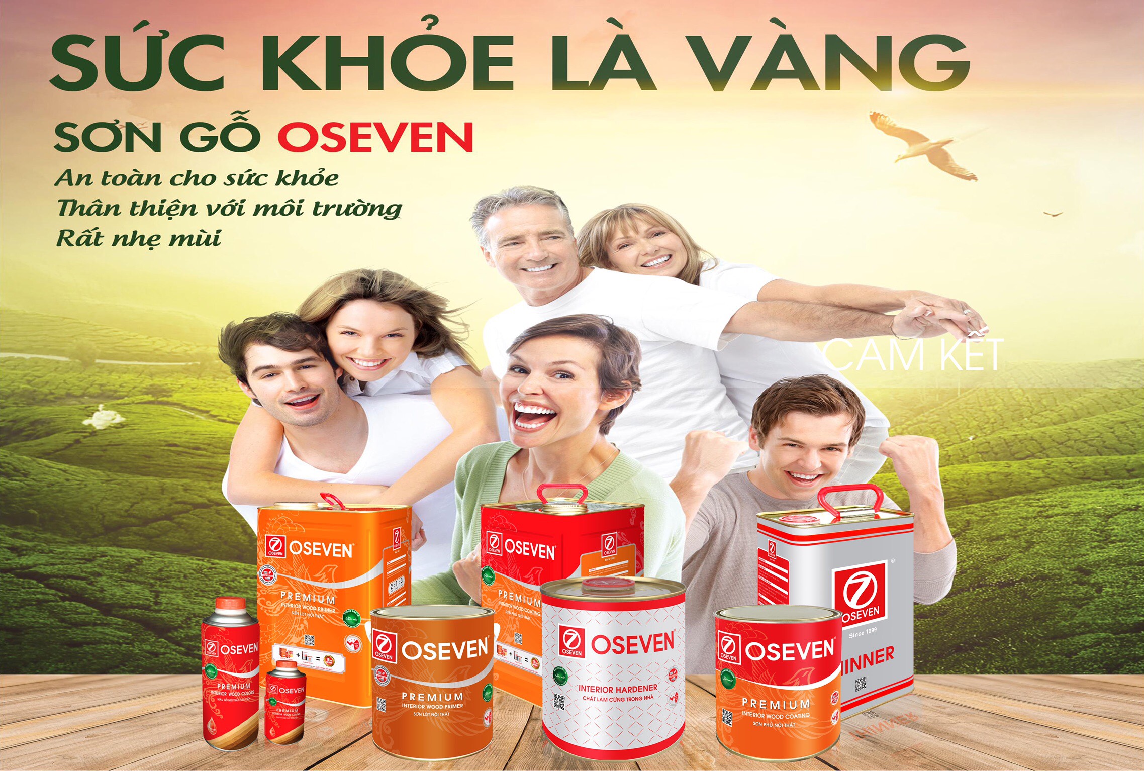 Sơn gỗ không độc tố