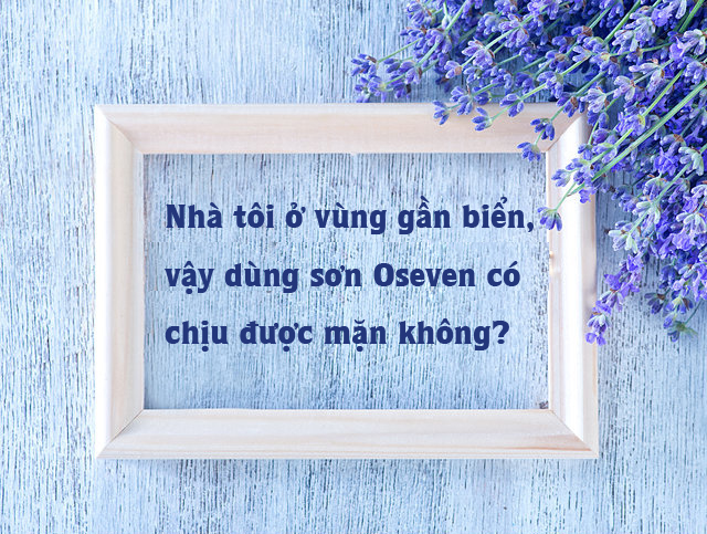 Sơn Oseven Có Chịu Được Mặn Không?